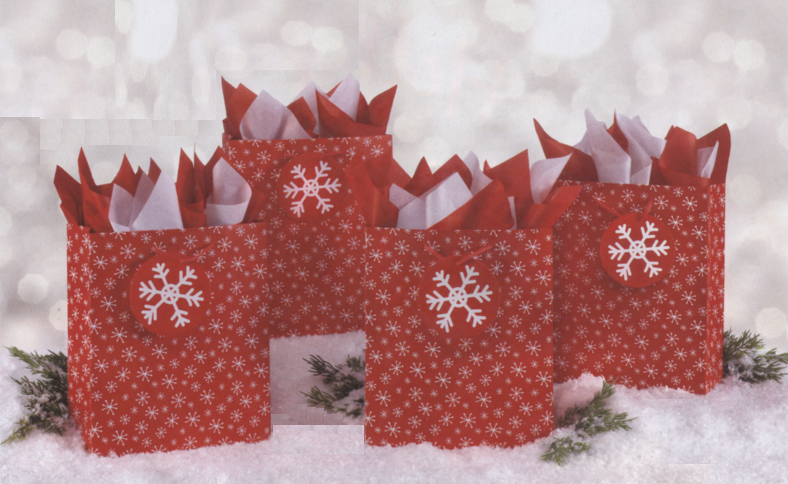 #3825 Snowflake Gift Bags S/4 